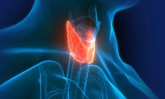 Kako prepoznamo težave s ščitnico?